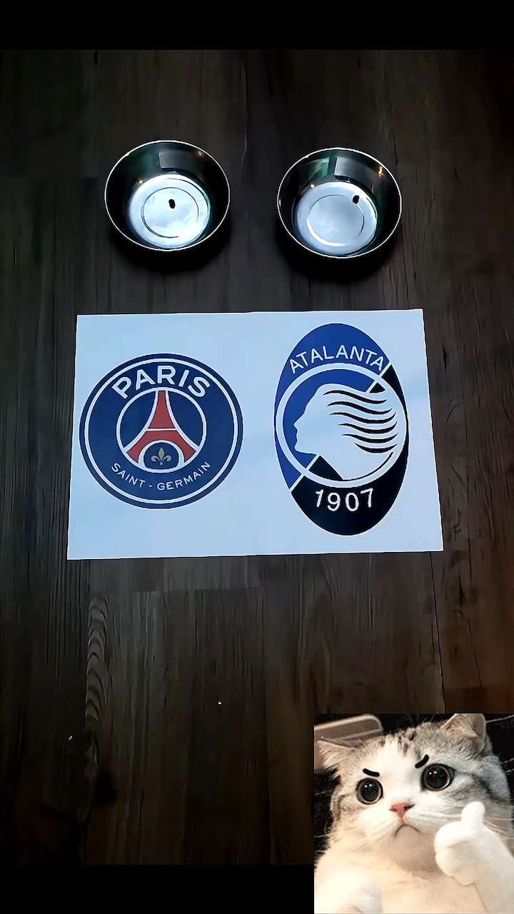 赛后巴黎圣日耳曼调整名单：德甲节点到来，管理层满意，球探报告显示潜力(巴黎圣日耳曼后卫名单)